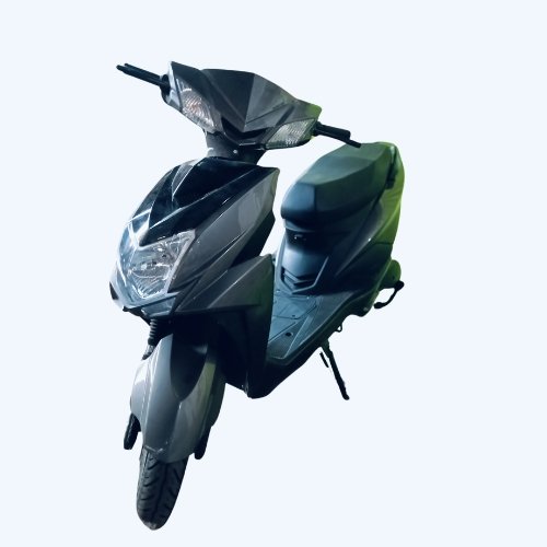 Gallery Thumbnail